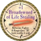 2008-gold-1-broadsword-of-life-stealing