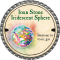 2014-plat-ioun-stone-iridescent-sphere