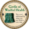 Girdle of Wealful Health