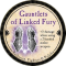 Gauntlets of Linked Fury