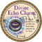 Divine Echo Charm