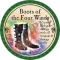 Boots of the Four Winds