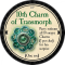 10th Charm of Transmorph