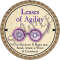 Lenses of Agility