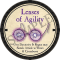 2020-onyx-lenses-of-agility